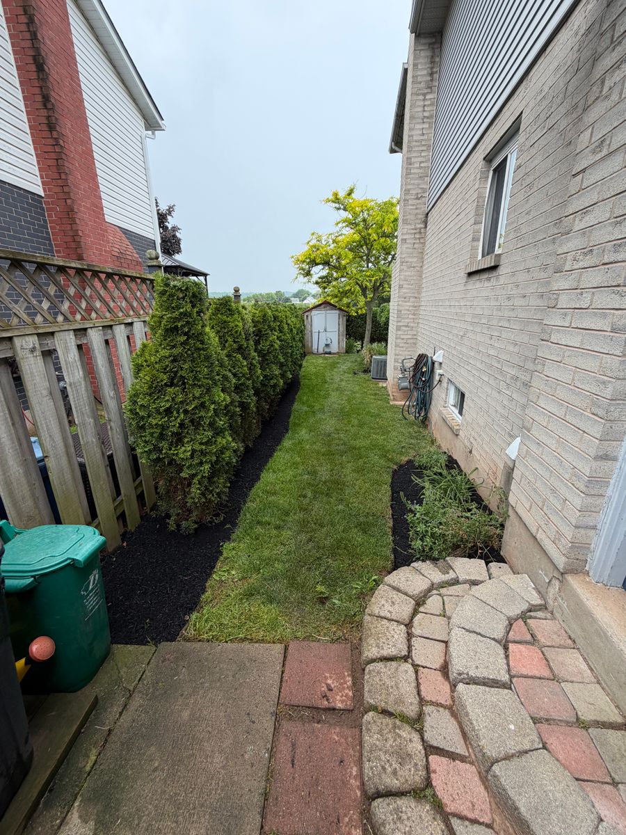 Lawn Care for CMN Exterior Maintenance in Hamilton, ON