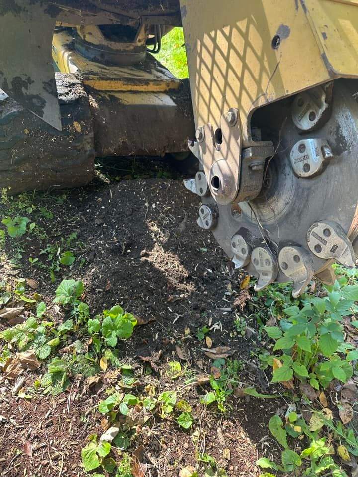 Stump Grinding for Mulch & Dig in West Bloomfield Township, MI