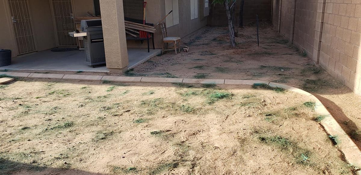 Yard Cleanups for Sunrise Landscape in Maricopa, AZ