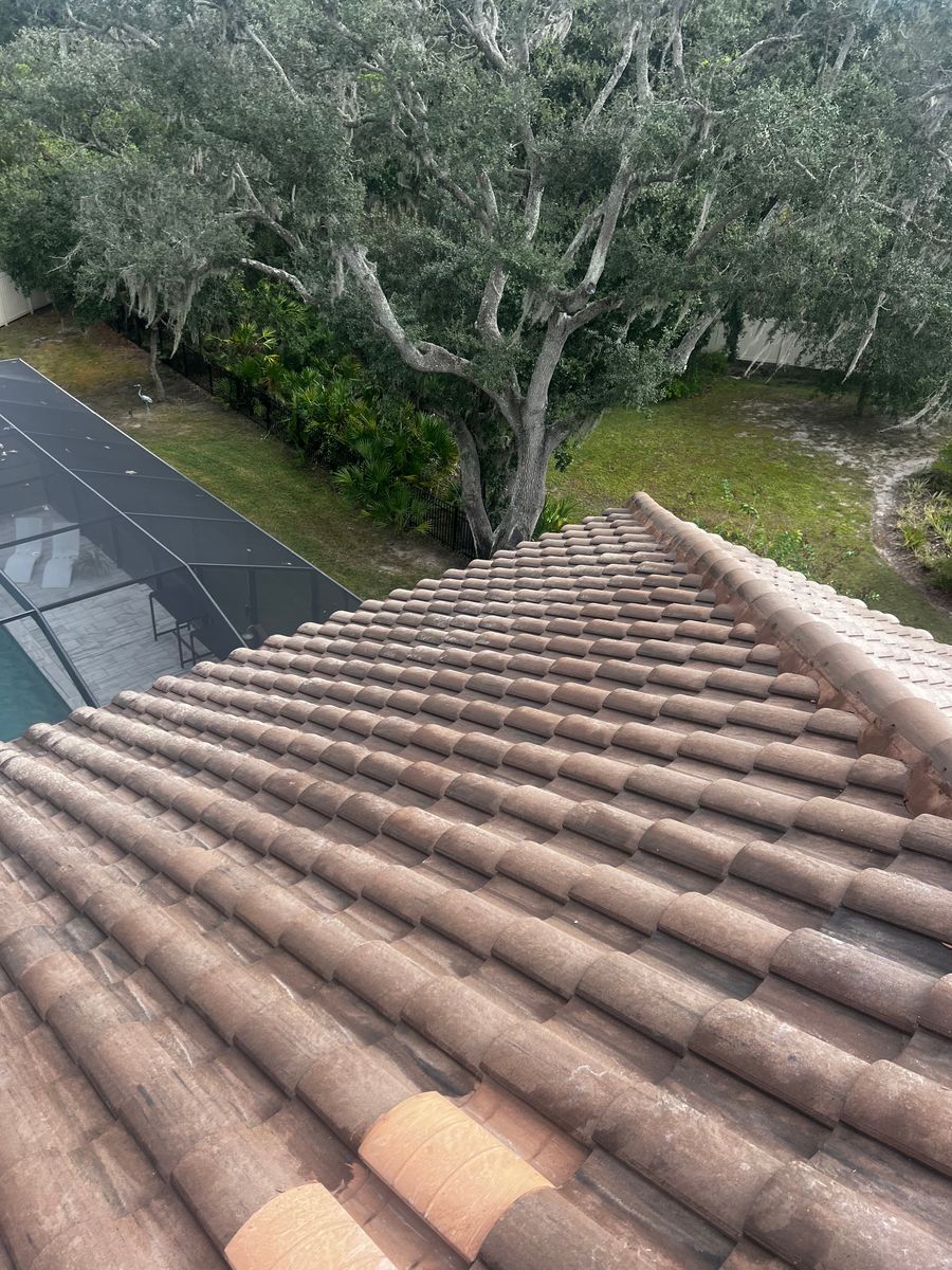Roof Cleaning for Barr None Wash Pro in Tampa, FL