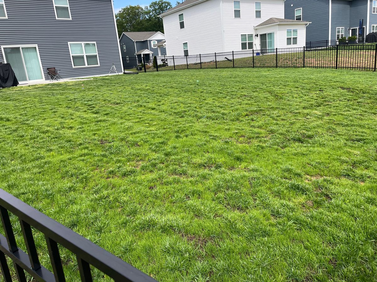 Lawn Makeover for Atlas Home Services in Mechanicsville, VA