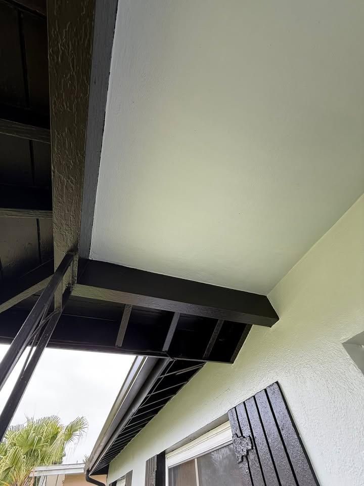 Exterior Painting for Escorpio Painting in Tampa, FL