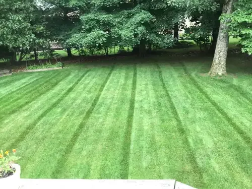 Lawn Maintenance for Sanchez Home Services in Pompton Lakes, NJ