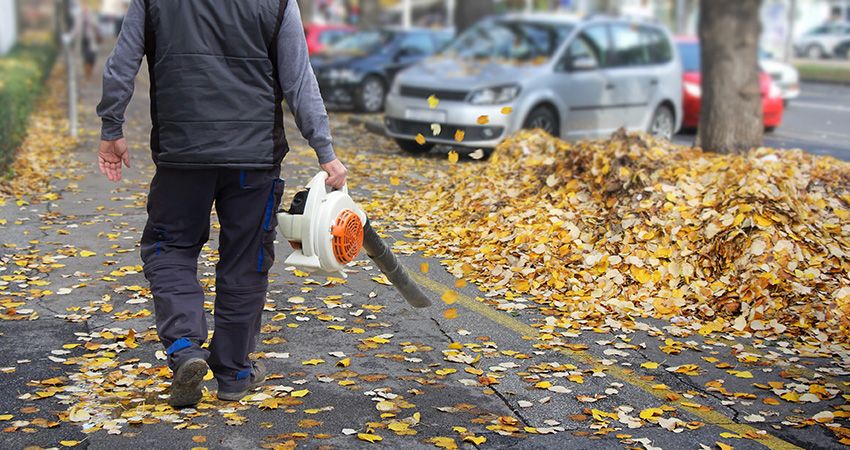 Fall Clean Up for HillyGoat Lawn Care in Provo, UT