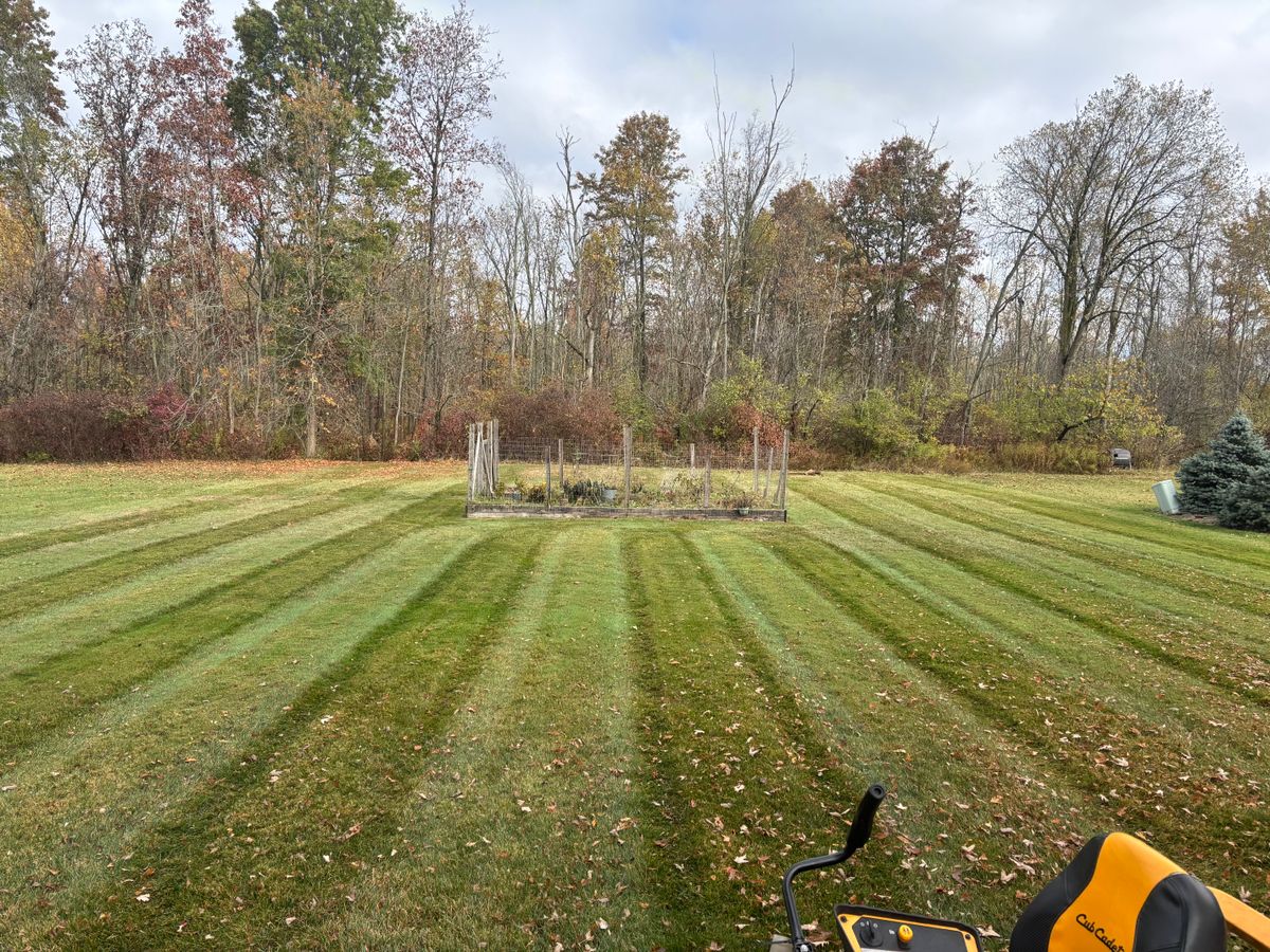 Lawn Maintenance for Leaps Landscaping LLC in Buffalo, NY