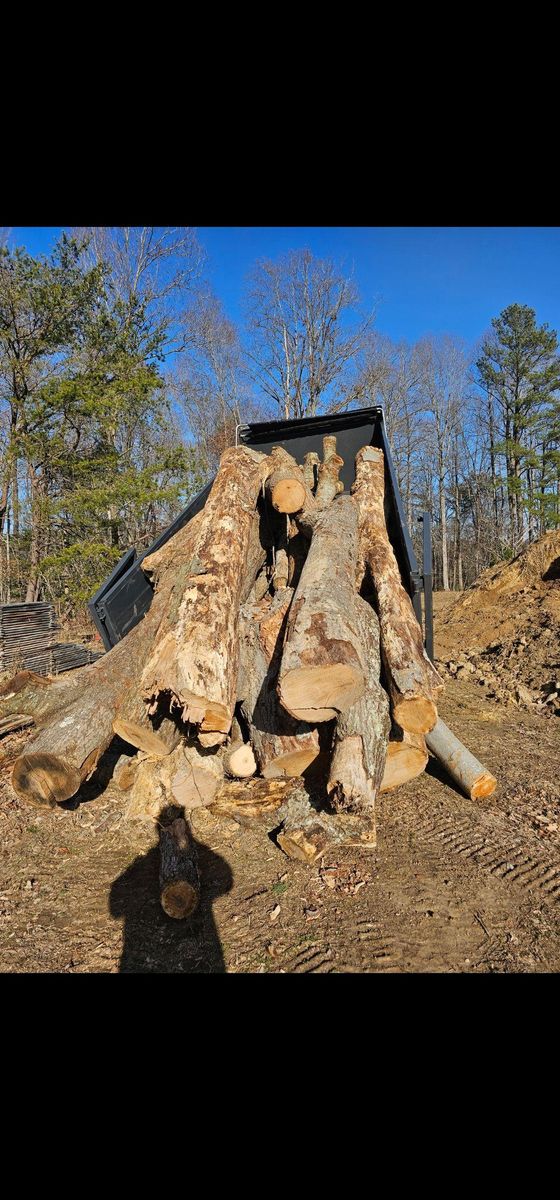 Land Clearing & Demolition for Hired Gunz Services LLC in La Plata, MD