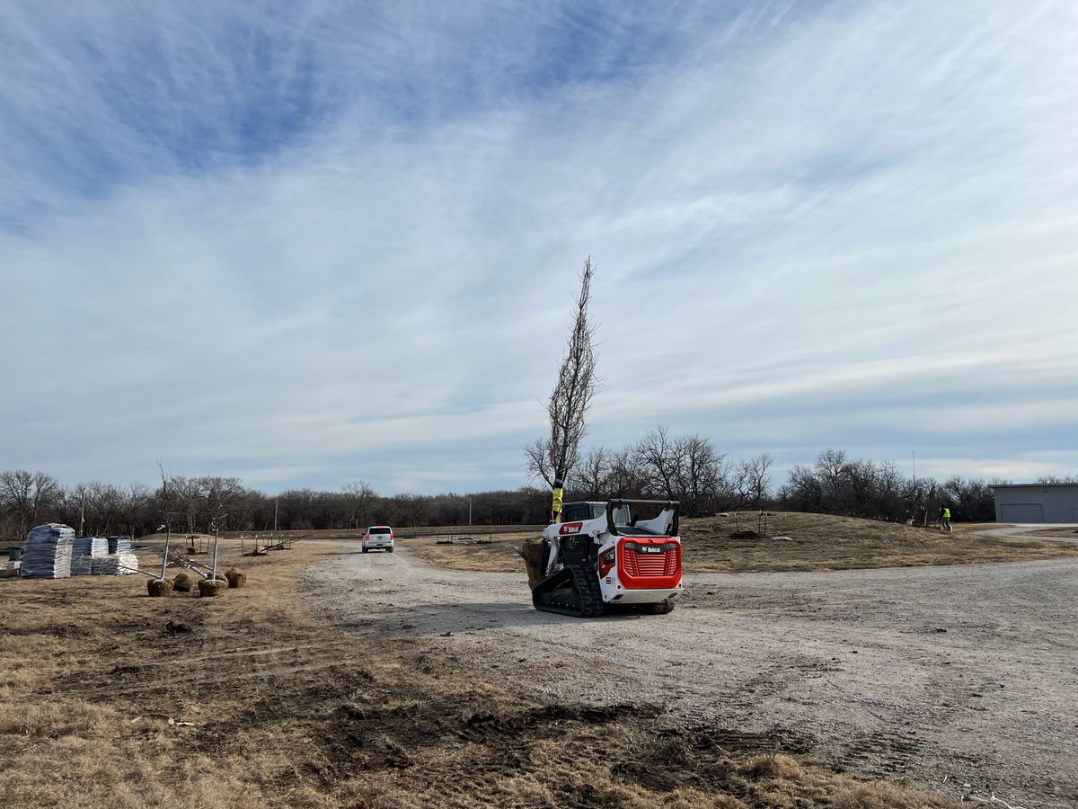 Tree Planting for Jakob’s Lawn Kare in Wichita, KS