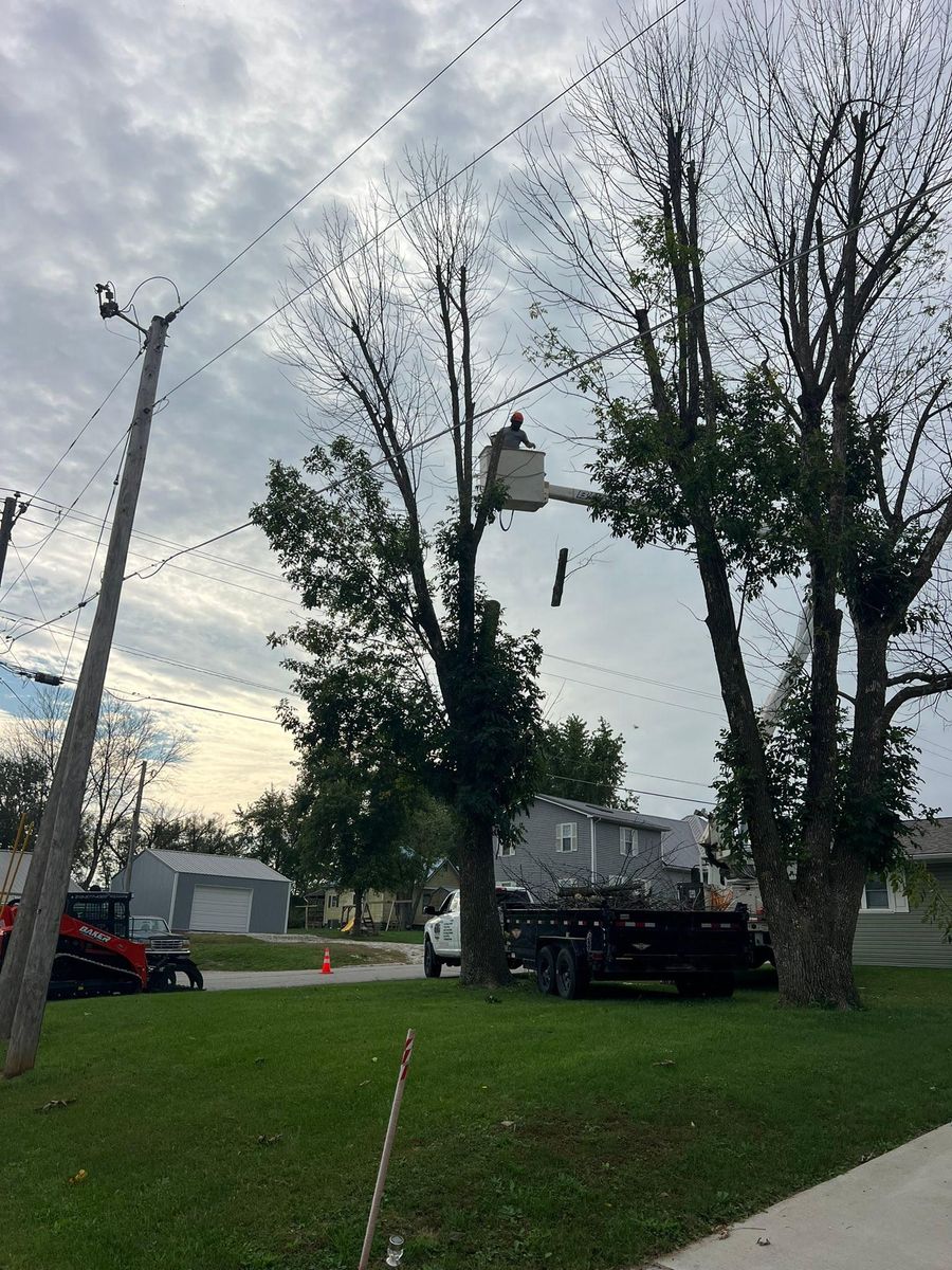 Property Clean Up for Baker Professional Services LLC in Shelbina, MO