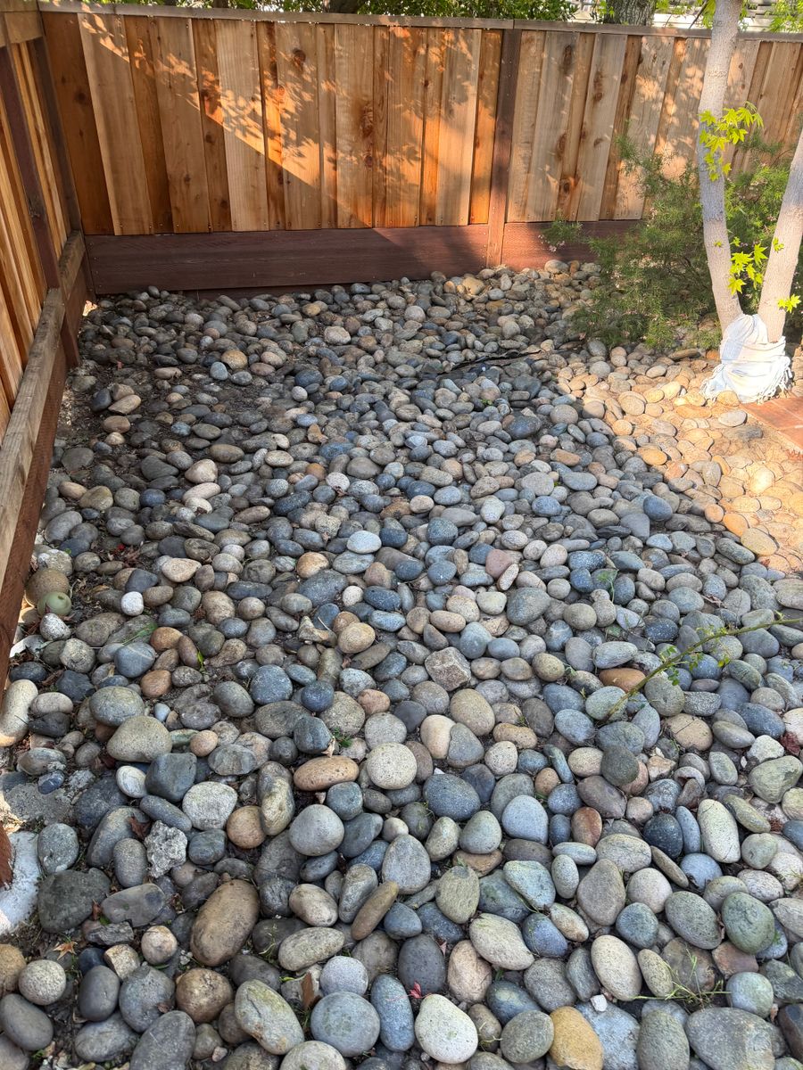 Landscaping for CBA Landscaping in Hayward, CA