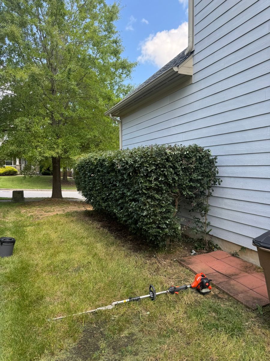 Shrub Trimming for Done2Day LLC in Wake Forest, NC