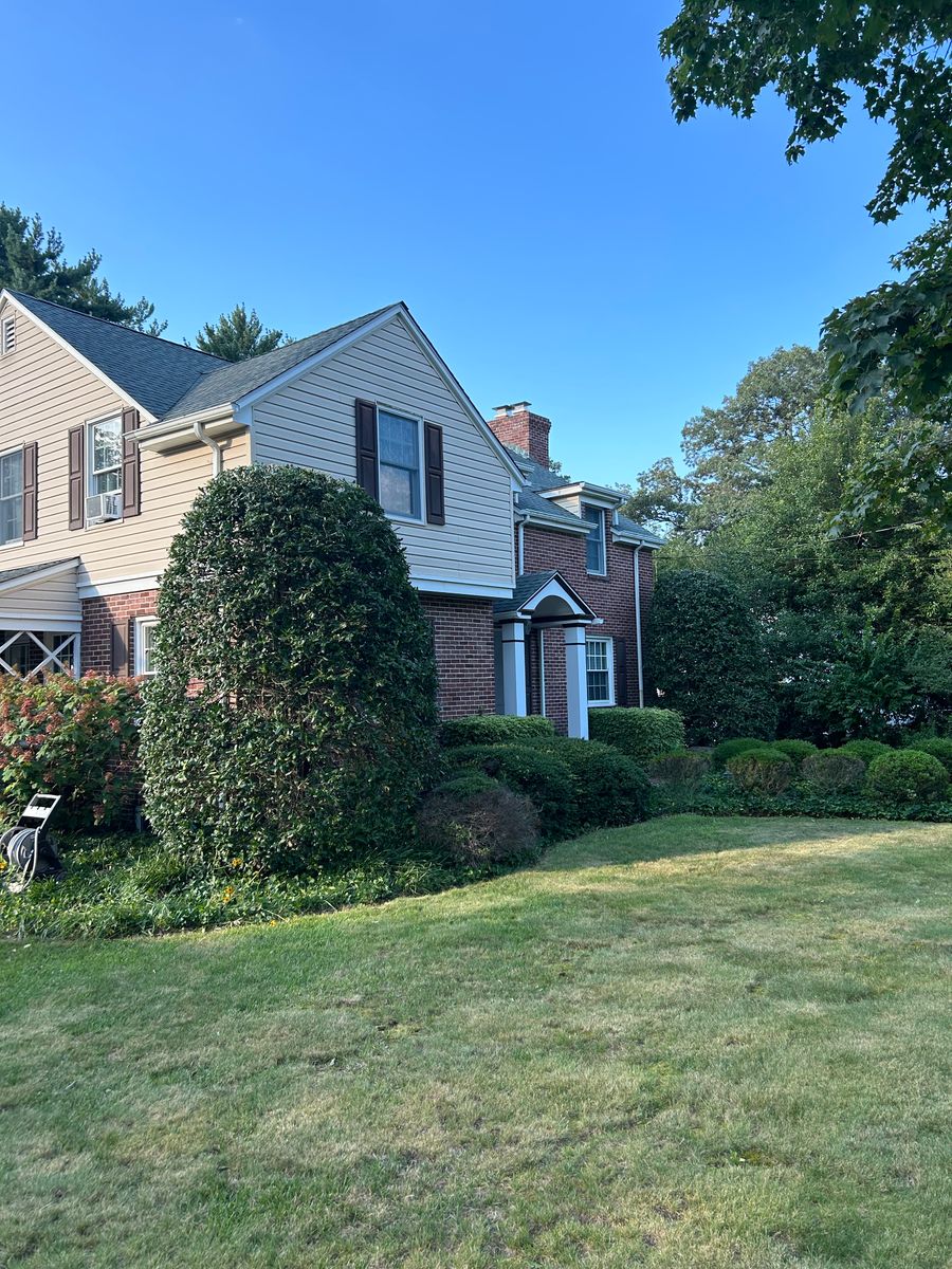 Tree Trimming for Hingewood Tree Service in Salem, NJ
