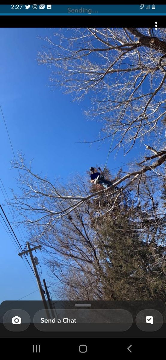 Tree Trimming for SMH Tree Service in Atwood, KS