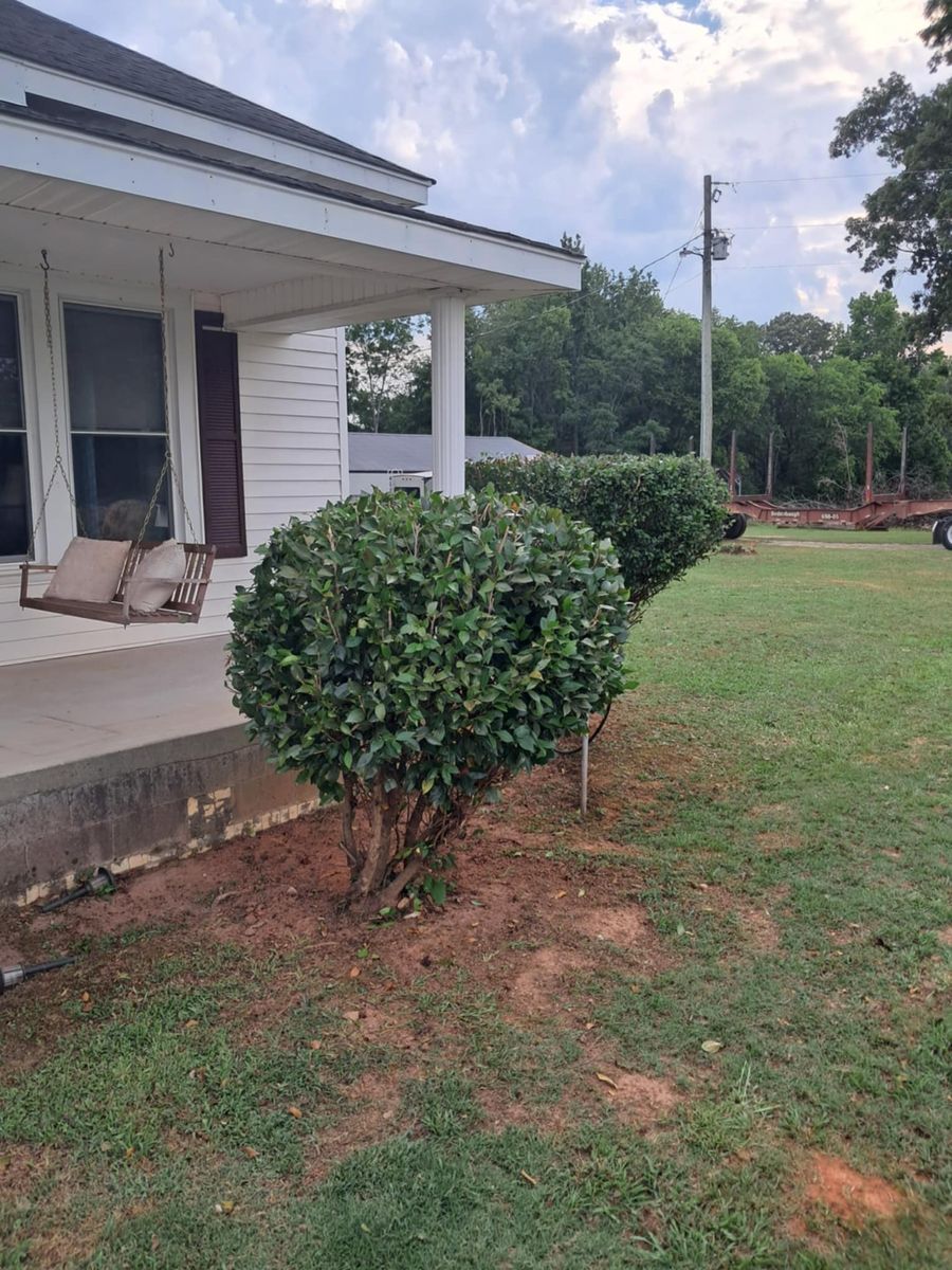 Shrub Trimming for Thin Green Line Landscaping & More in Laurens, SC