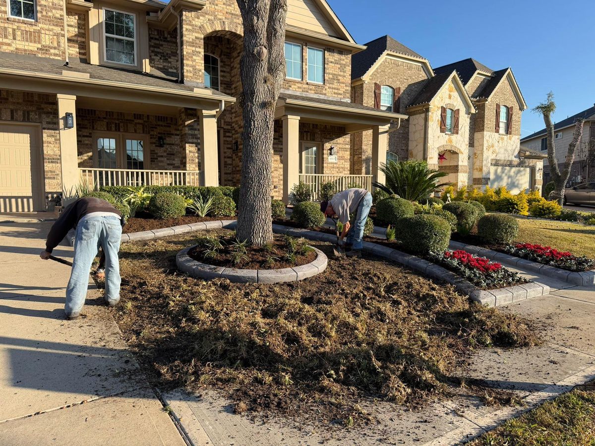 Landscaping for Texas Curb N Borders in Houston, TX