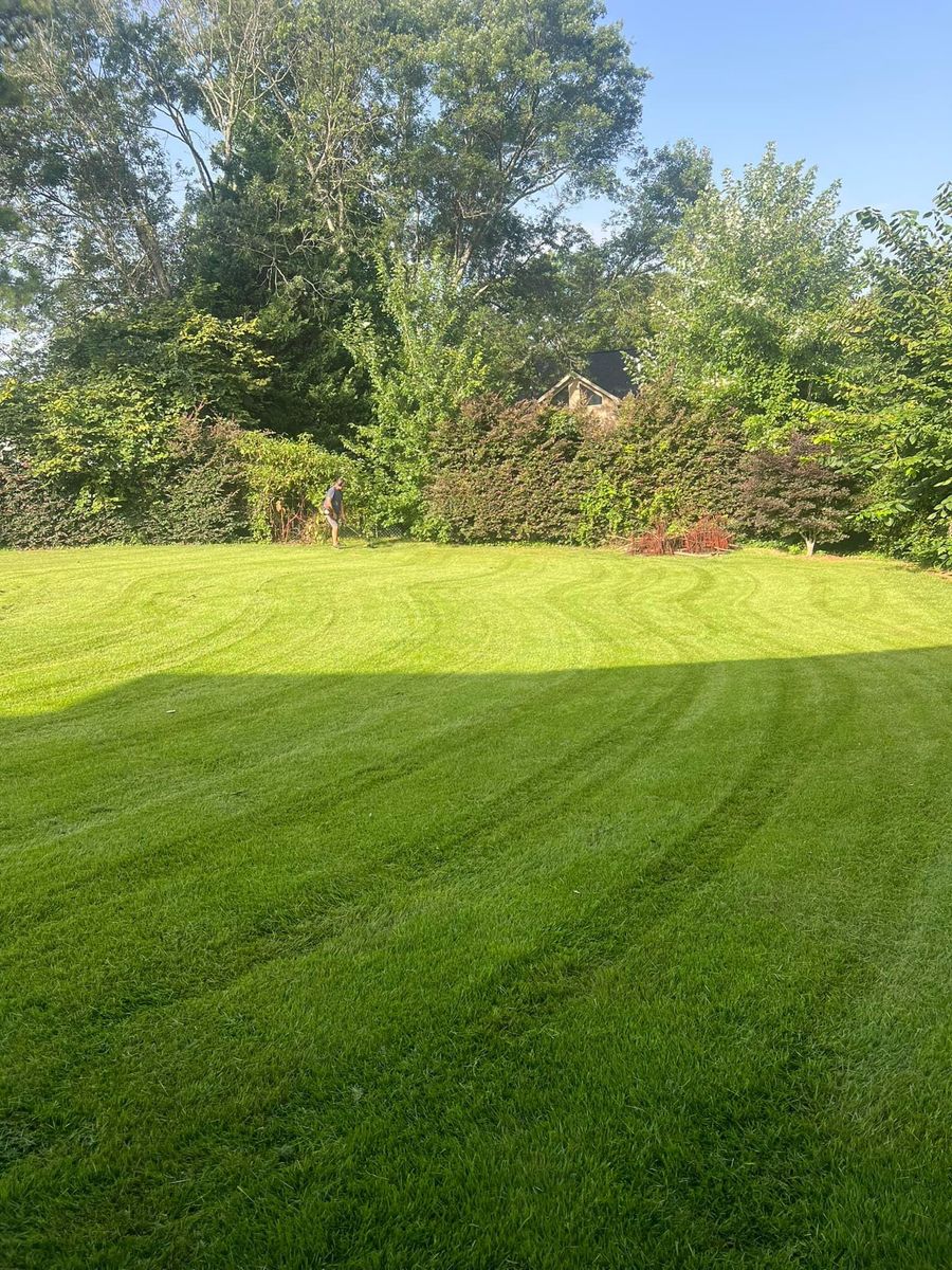 Lawn Fertilization for Adams Landscape Management Group LLC. in Loganville, GA