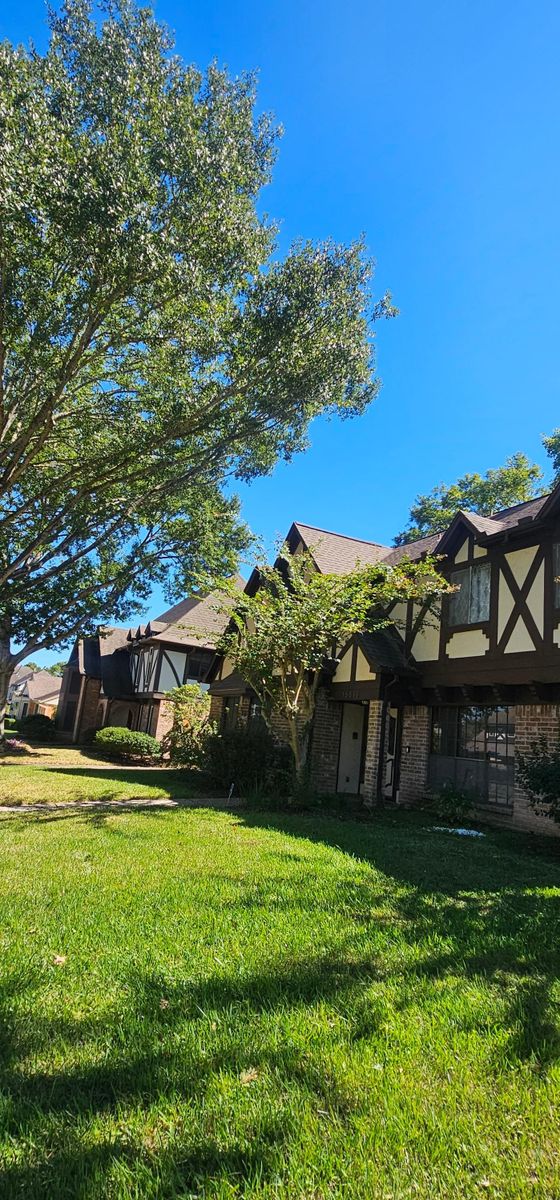 Fall Clean Up for Servin's Tree Care  in Houston, TX