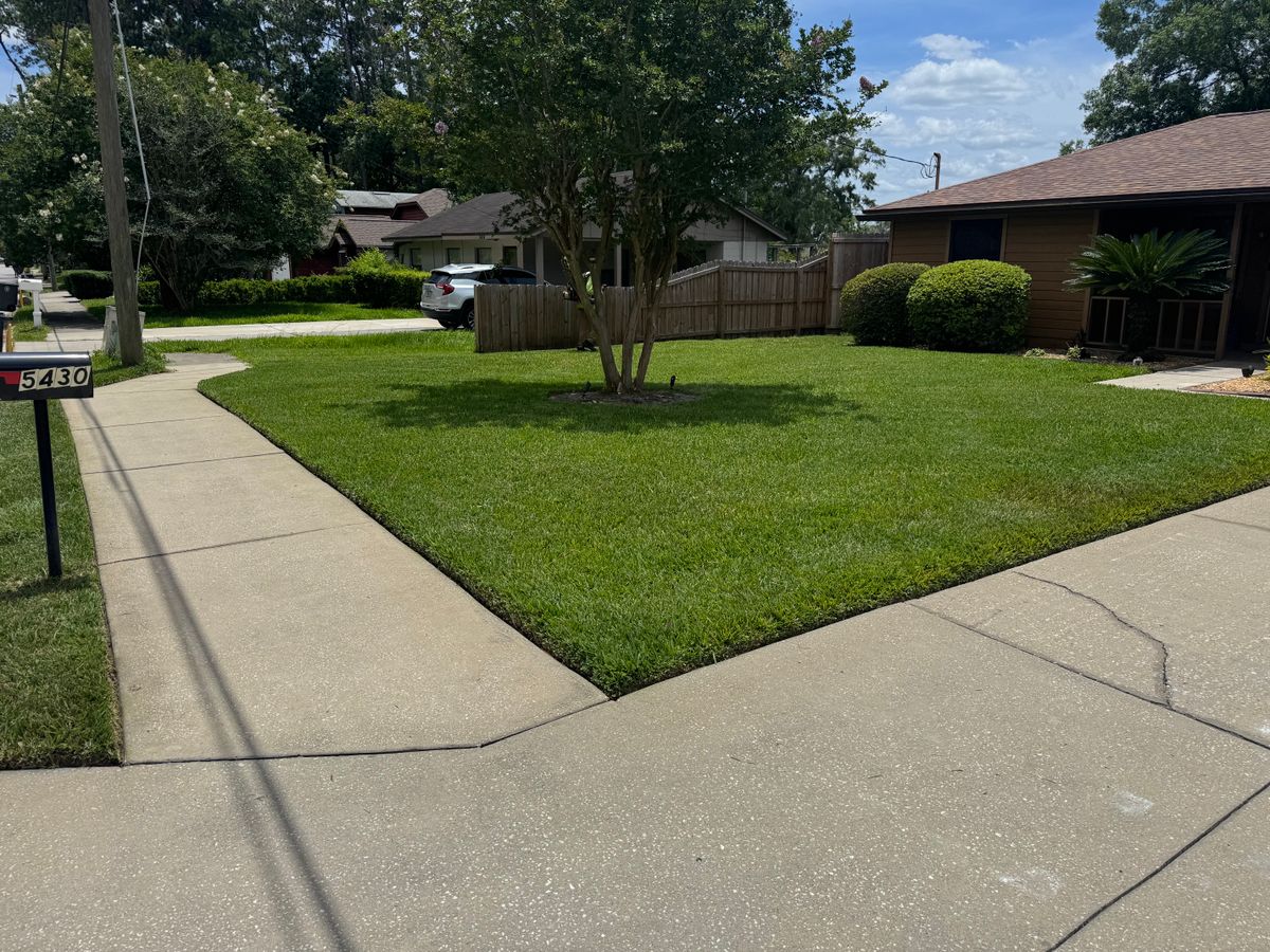 Landscaping for River City Elite Contractors in Jacksonville, FL