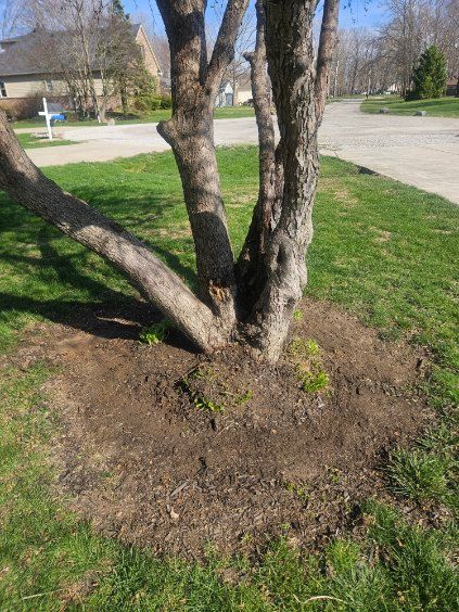 Spring Clean Up for Stafford.Works in Brownsburg, IN