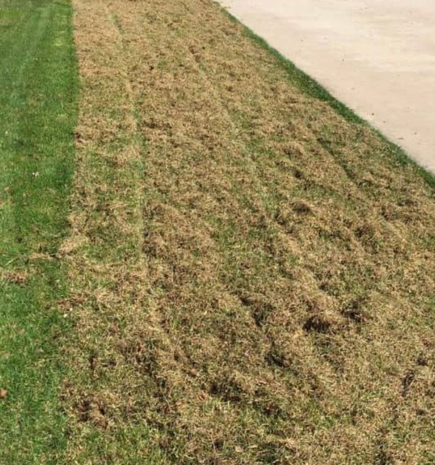 Dethatching for North Texas Groundscaping in Frisco, TX