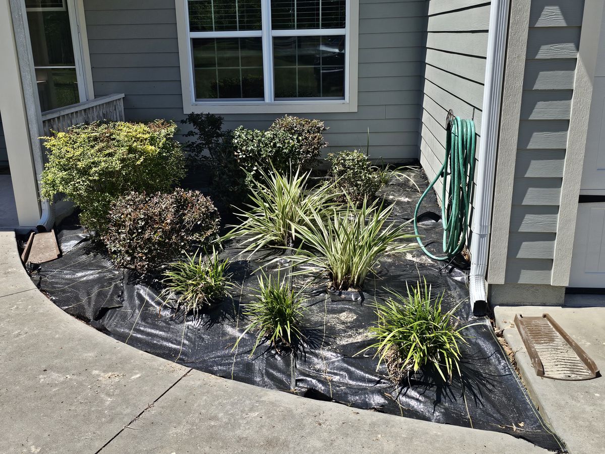 Sod Installing for Deeper Roots Landscape in High Springs, FL