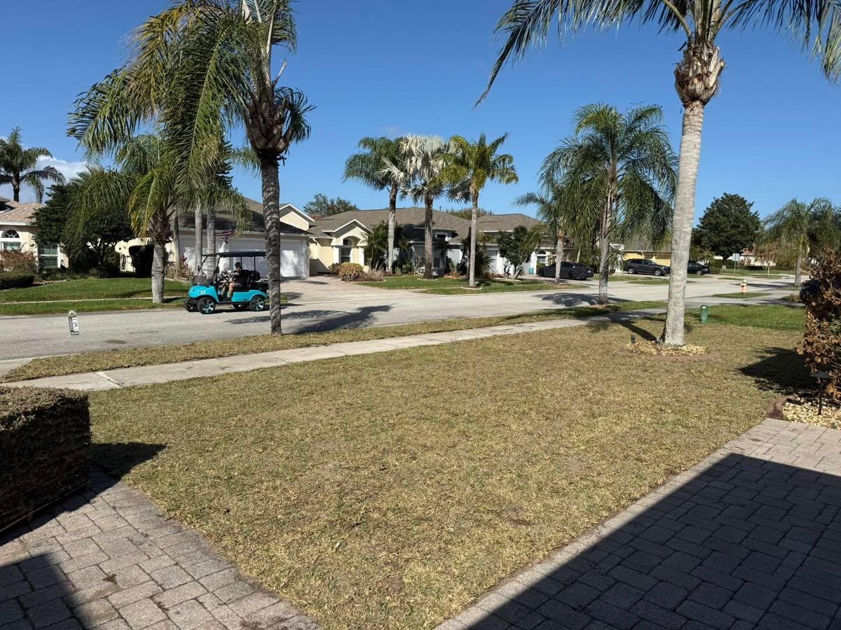 Sod Installation for Florida Pro Turf in Rockledge, FL