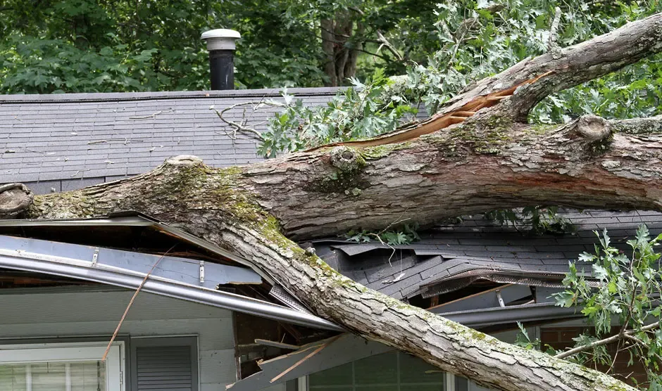 Storm Damage for Platinum Roofing and Exteriors  in Ocala, FL