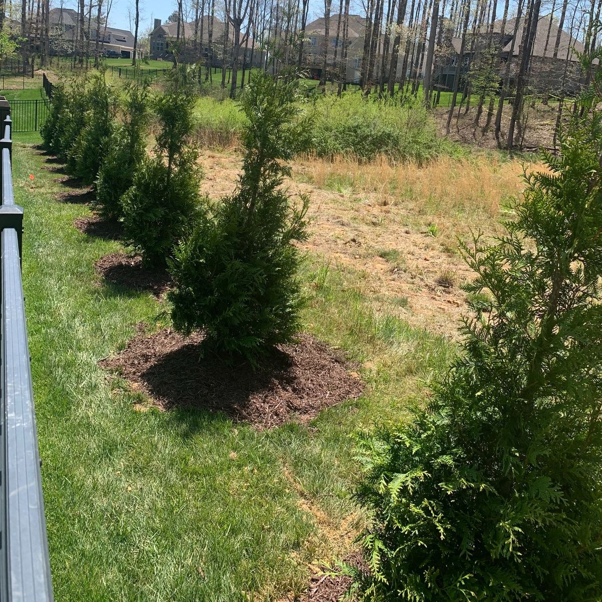 Shrub Trimming for CSS Renovations in Huntsville, AL
