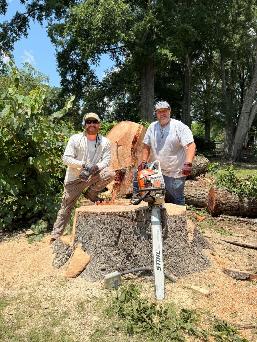 Tree Removal for T N L - Tree and Land Service in Reynolds, GA