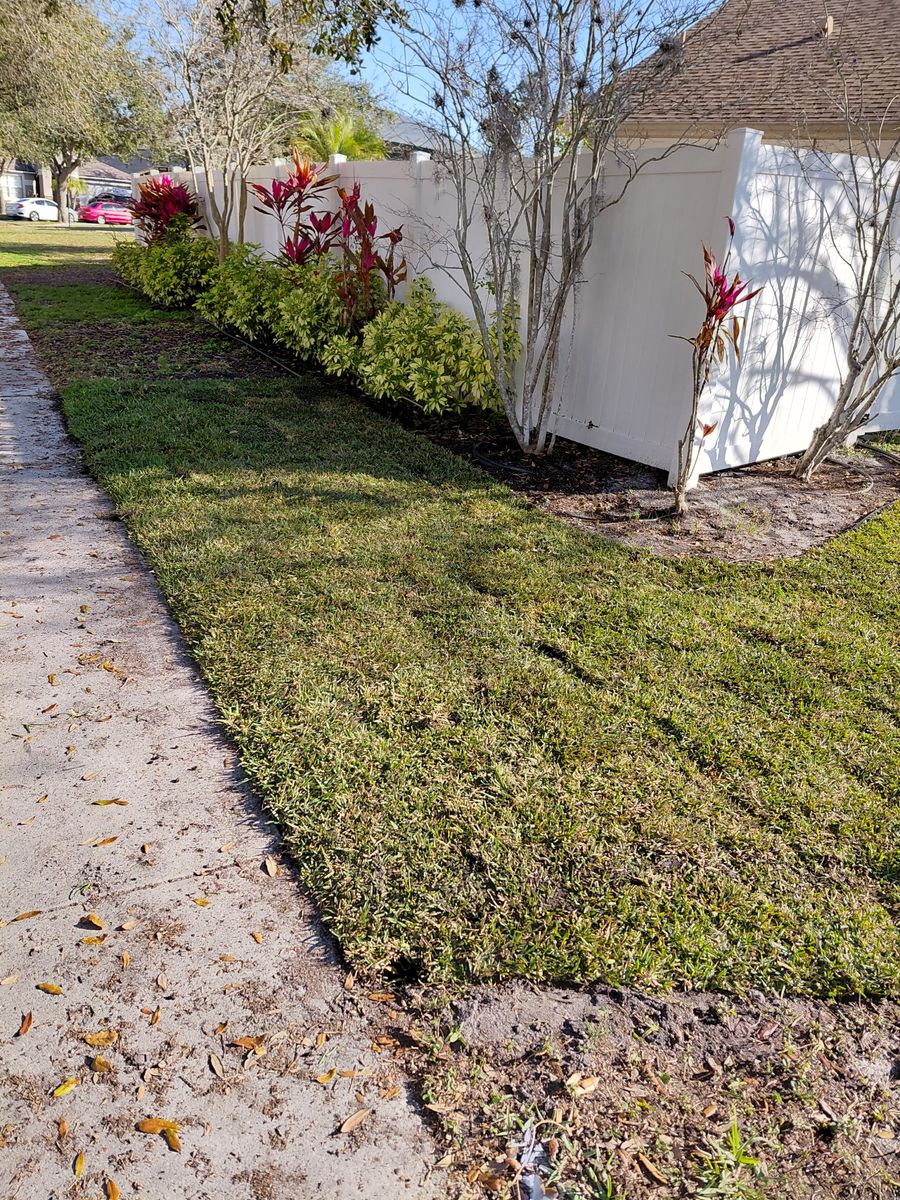 Landscape Design for Gulf Bay Sod in Clearwater, FL