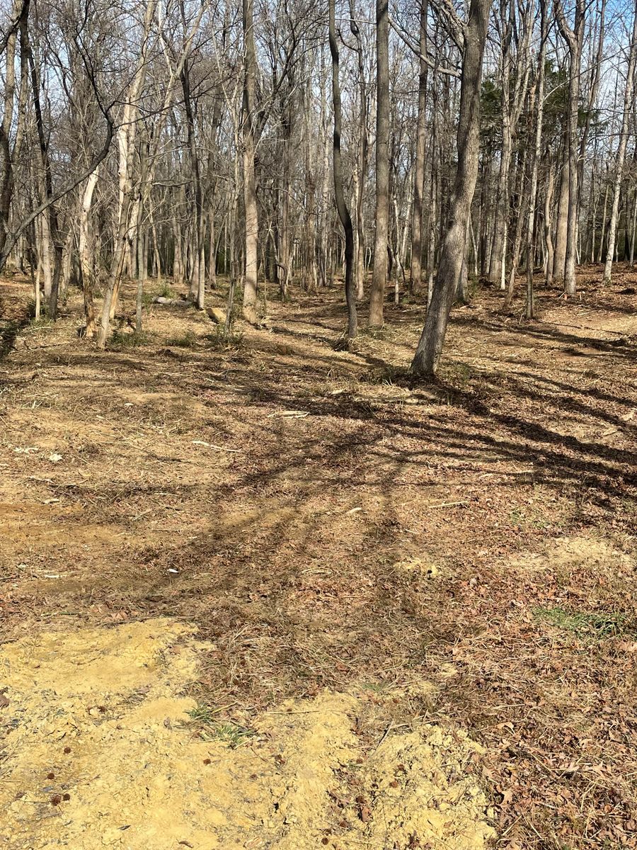 Site Preparation for JA Clearing  in Pageland, SC