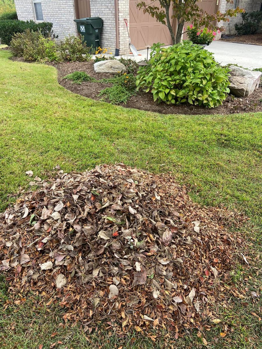 Spring Clean Up for Mtn. View Lawn & Landscapes in Chattanooga, TN