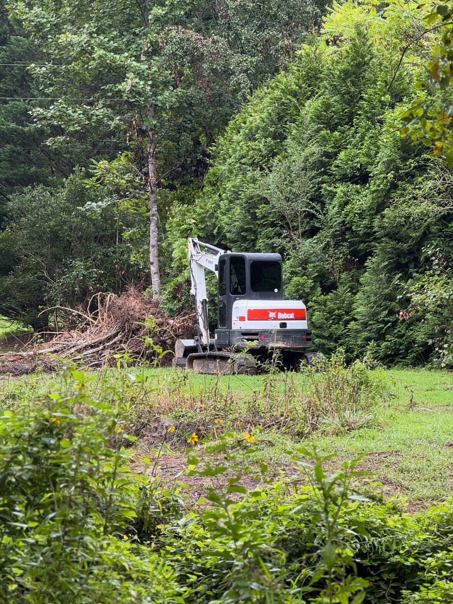 Stump and Tree Removal for OCD Landworks in Lenoir, NC