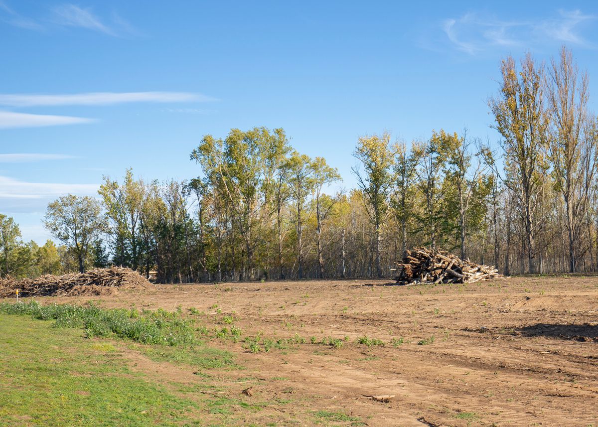 Land Clearing for Dirty South Land Management  in Robertsdale, AL