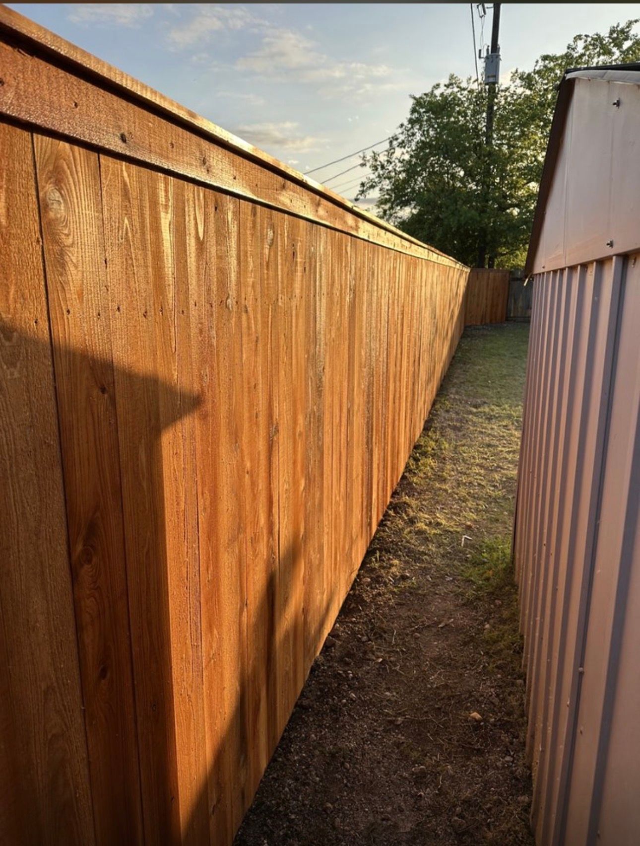 Stained cedar privacy fence, side yard