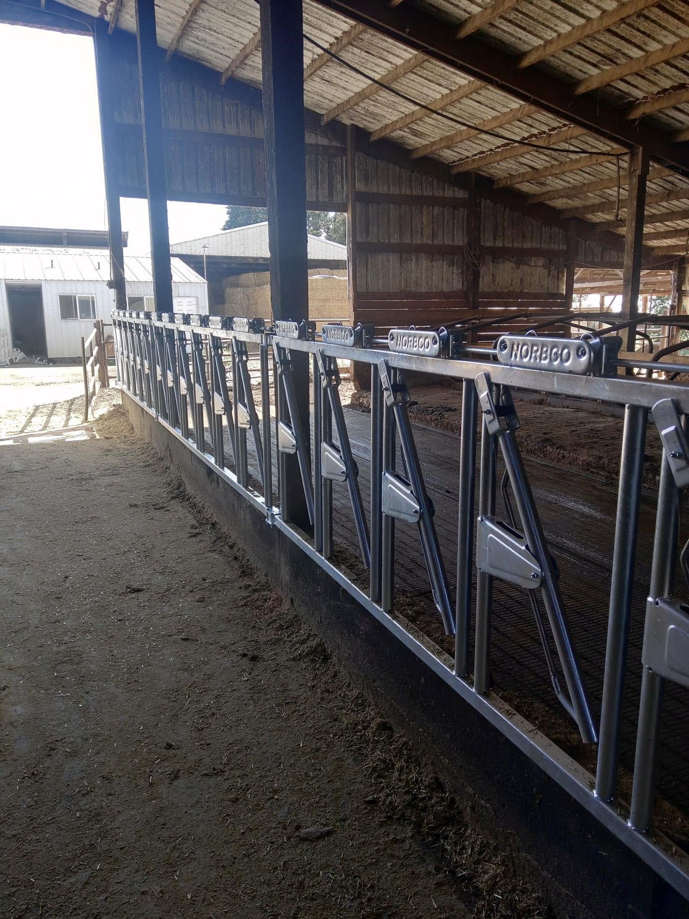 Cattle headlocks and feed barrier installed in a dairy barn
