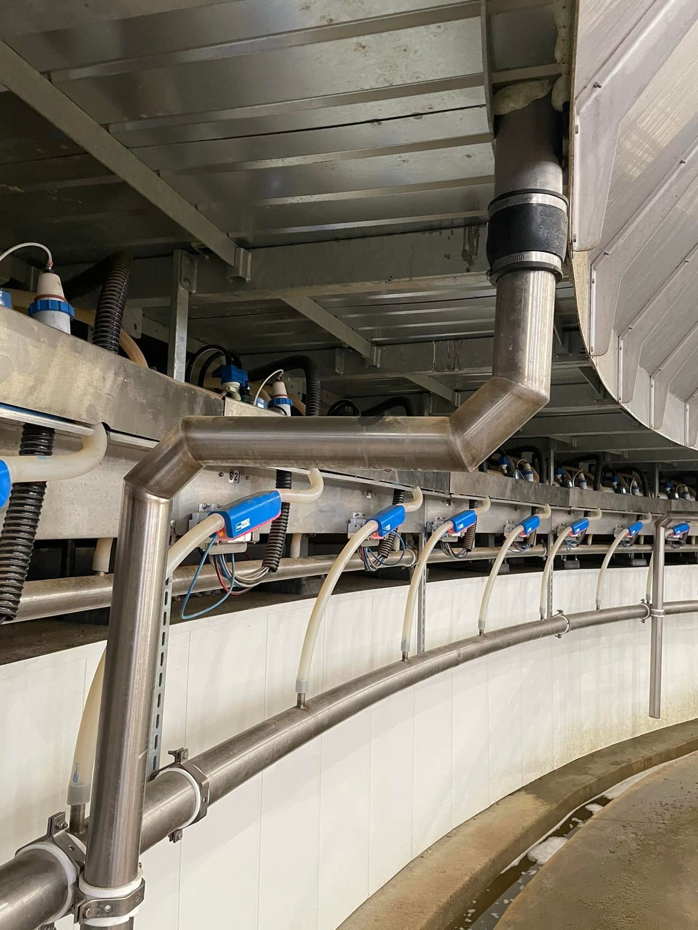 Stainless sanitary line installed in a rotary dairy parlor