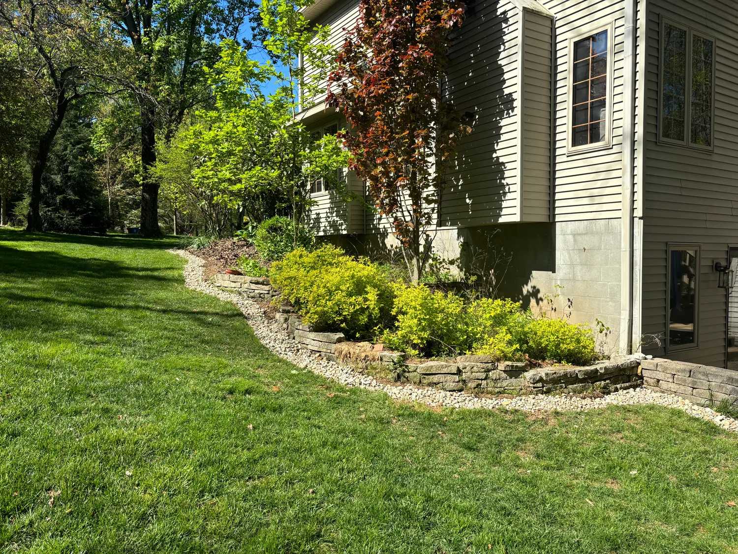 cover-photo