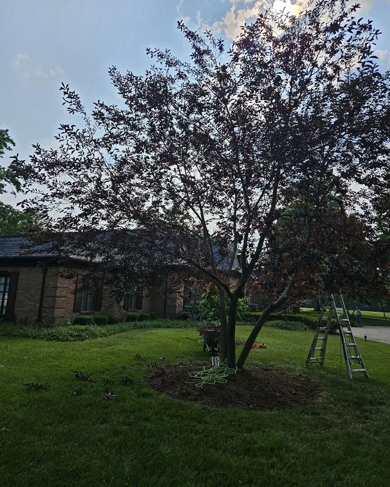 cover-photo