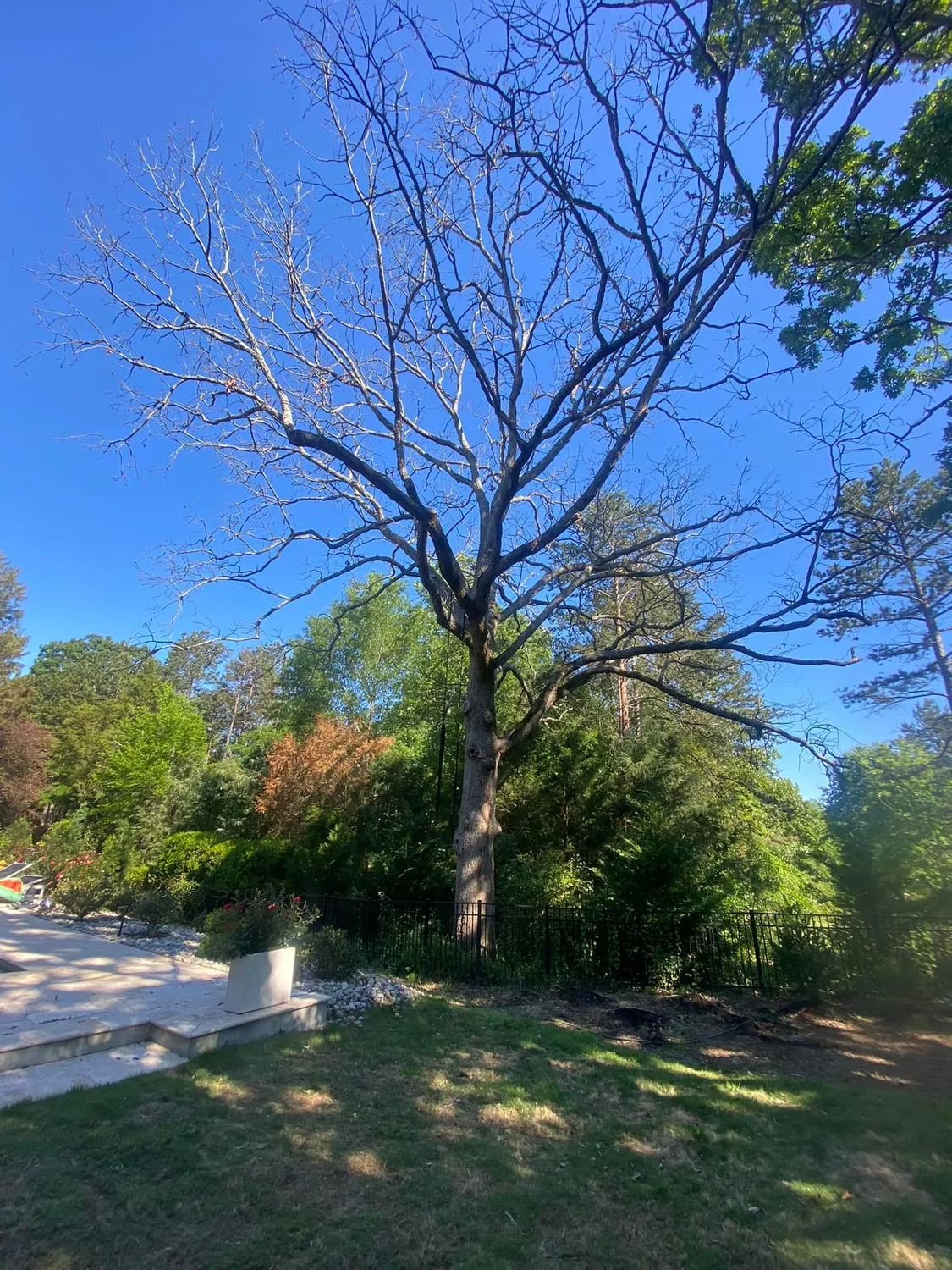 cover-photo