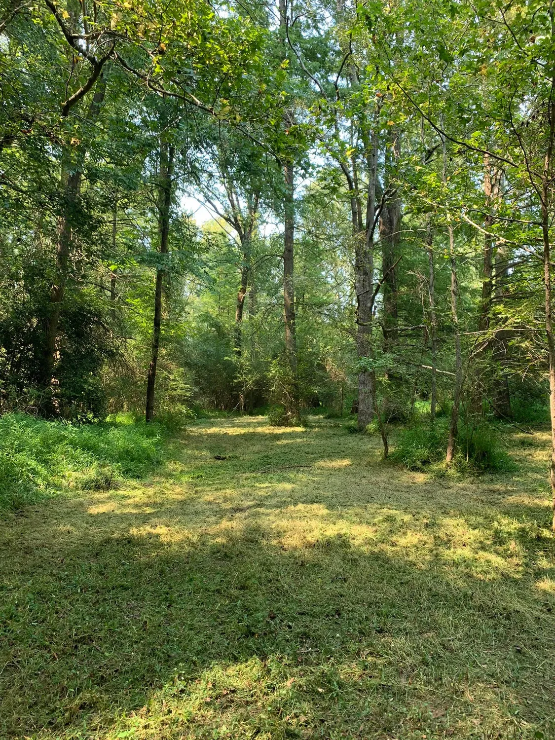 cover-photo