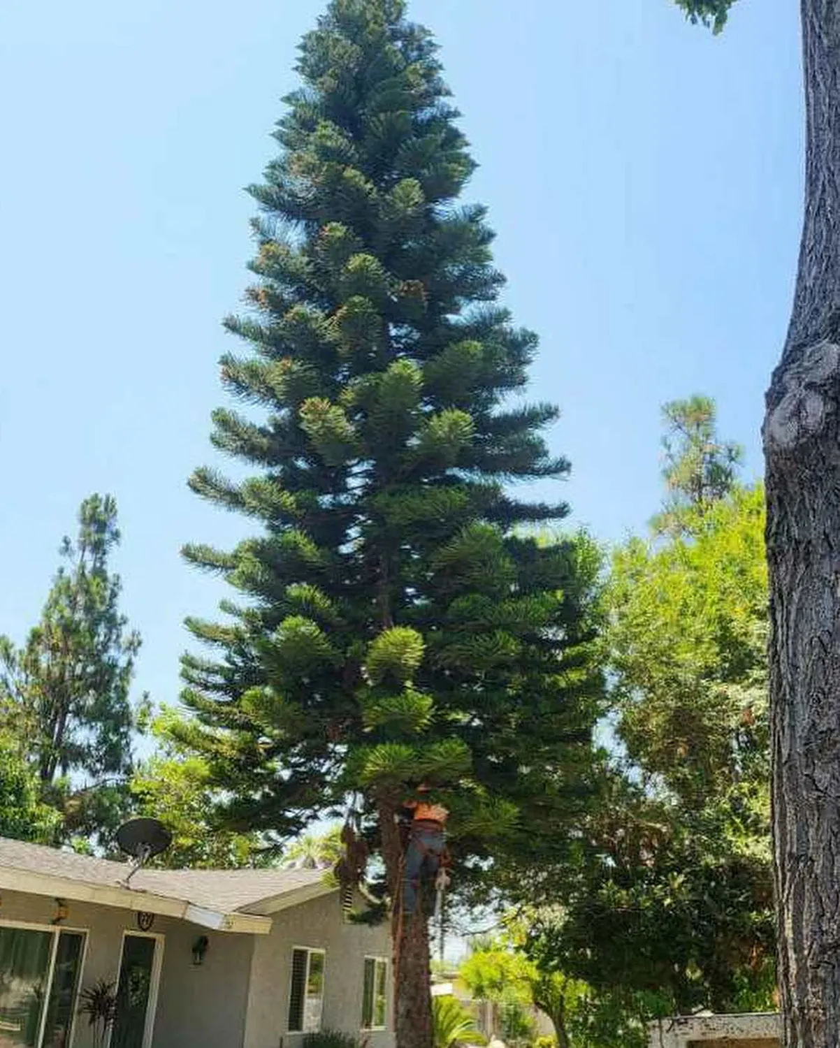 cover-photo