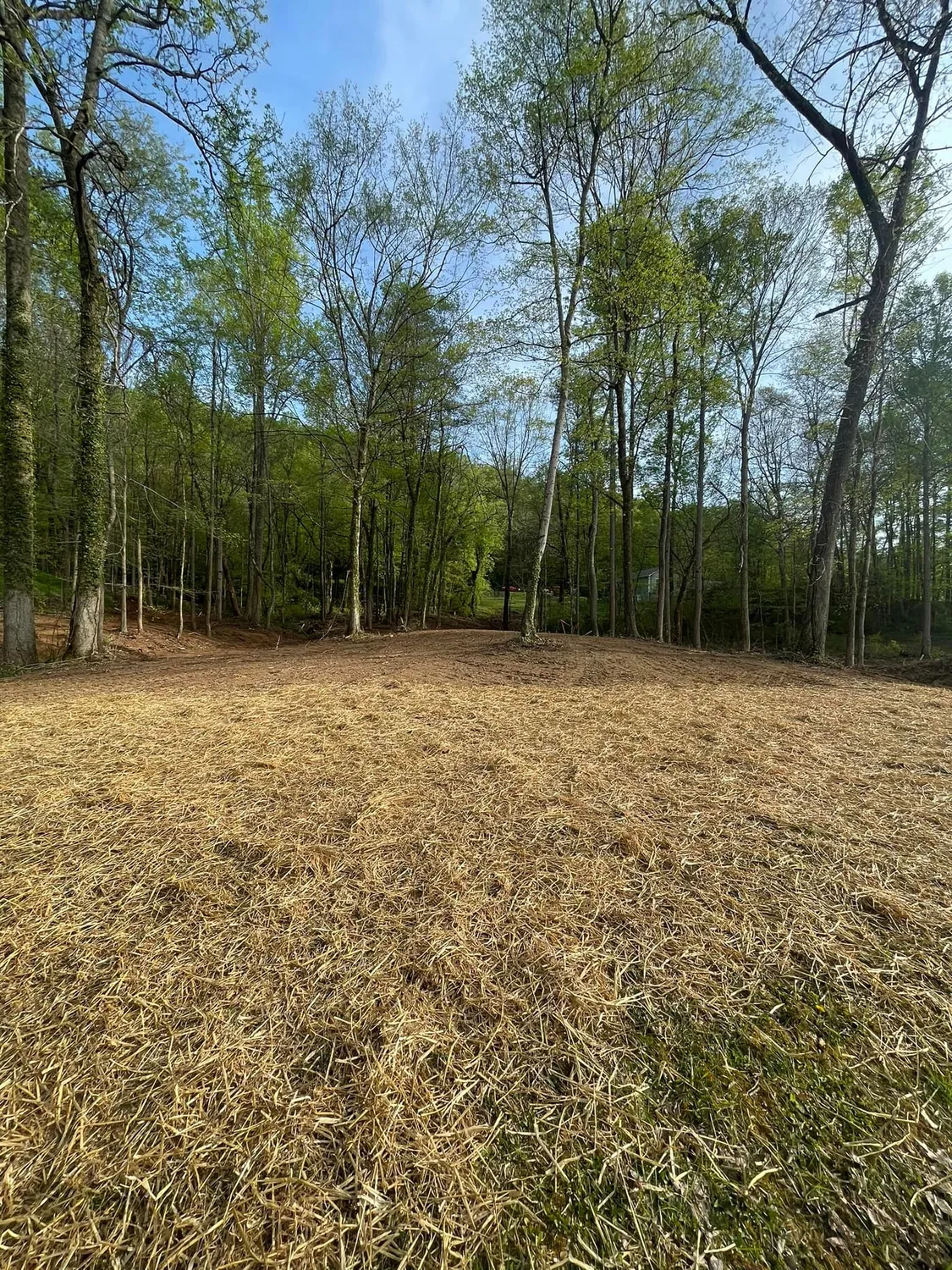 cover-photo