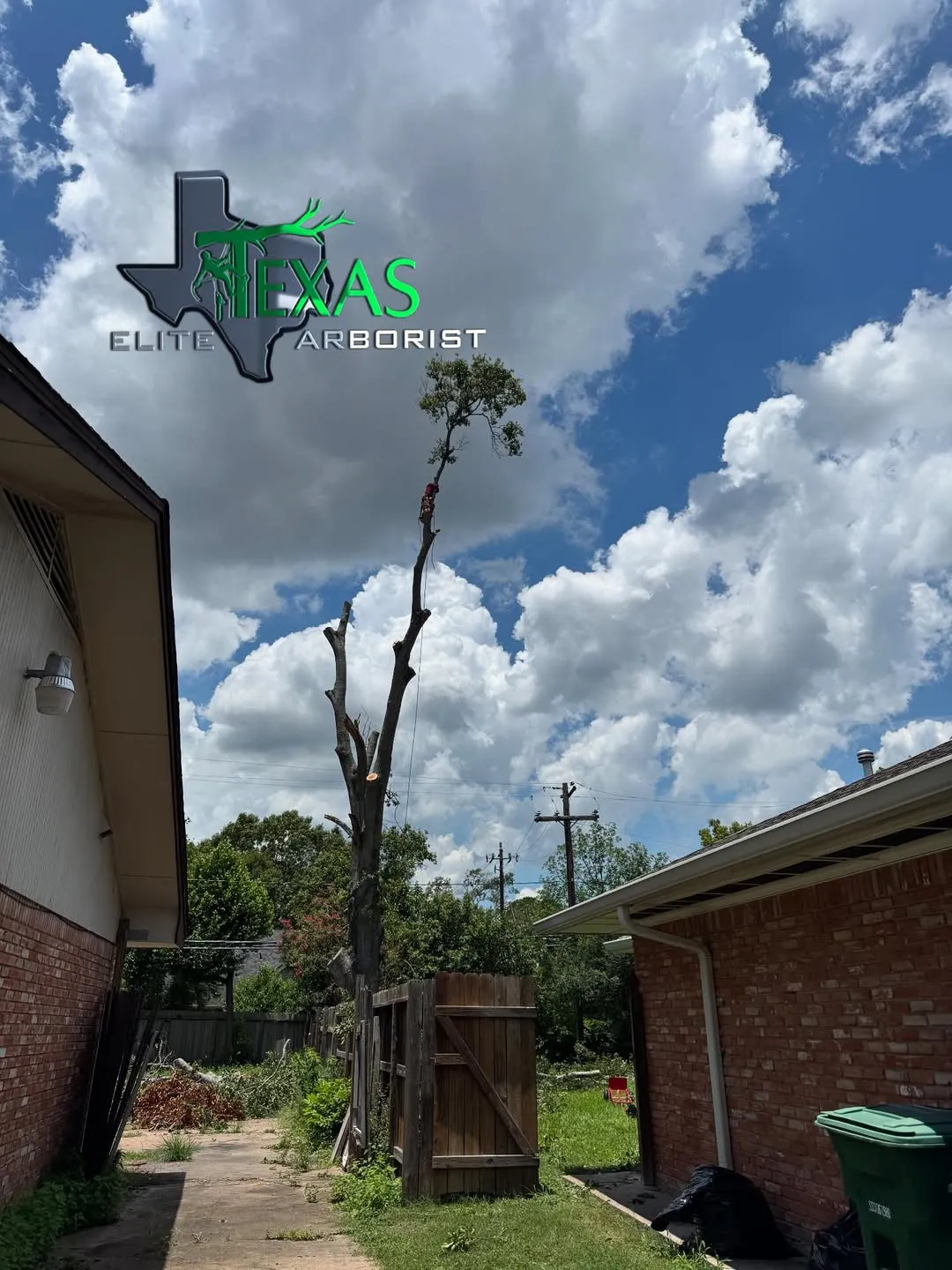 cover-photo