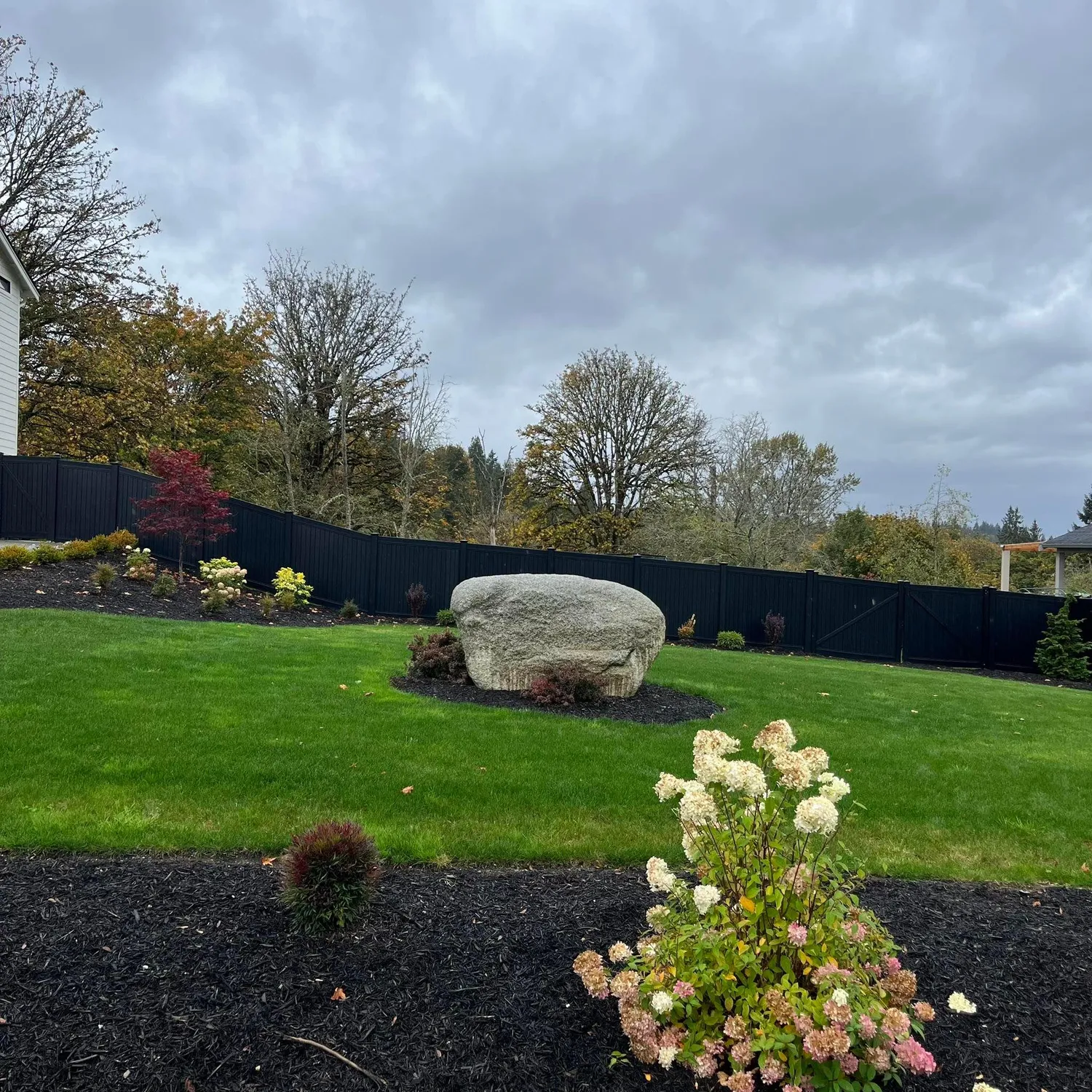 cover-photo