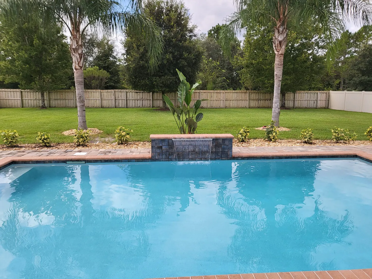 cover-photo
