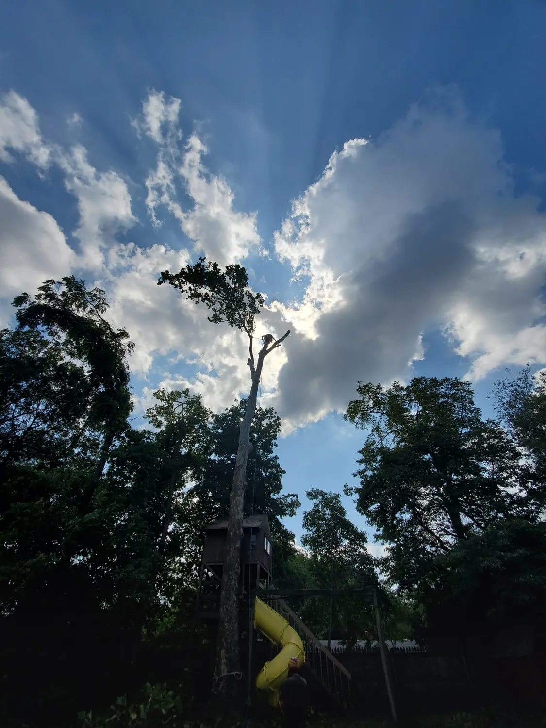 cover-photo