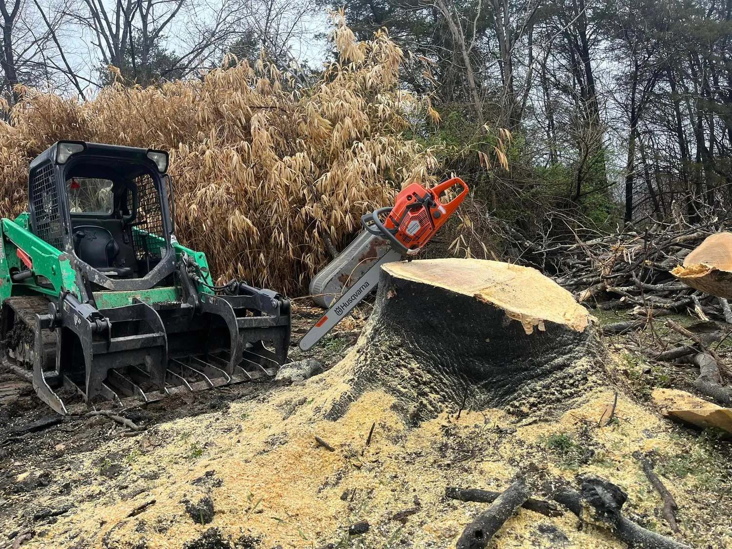 cover-photo