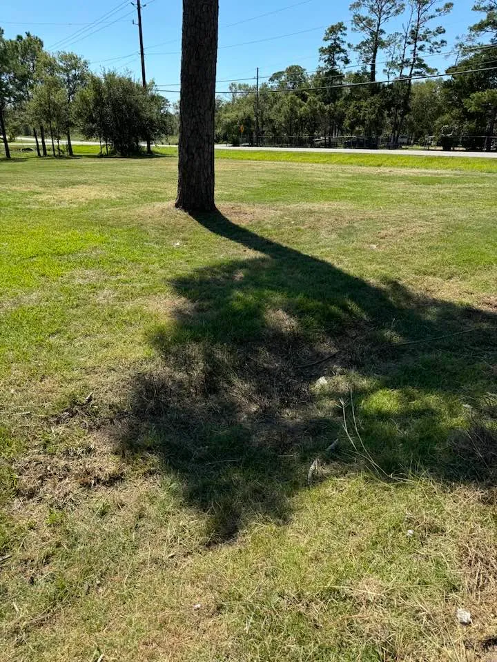 cover-photo