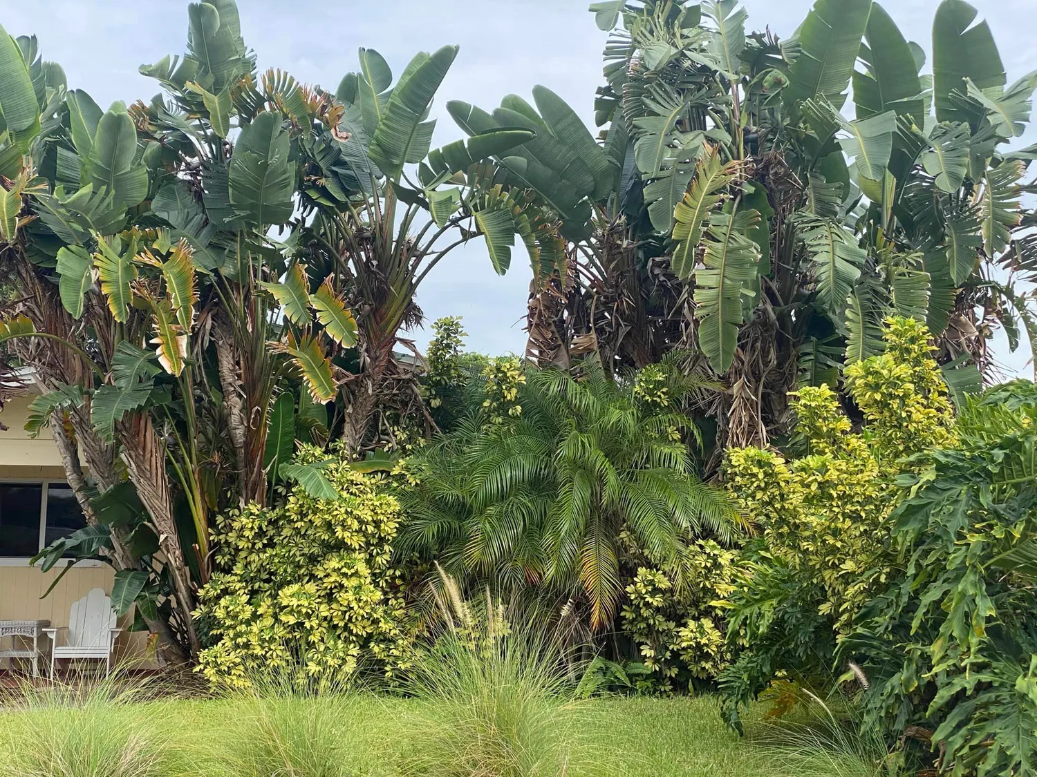 cover-photo