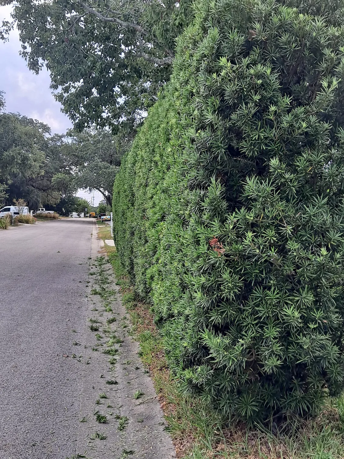 cover-photo